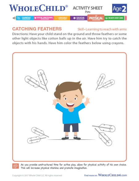 Catching Feathers