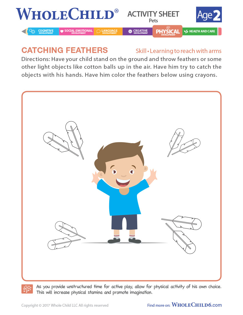 Catching Feathers