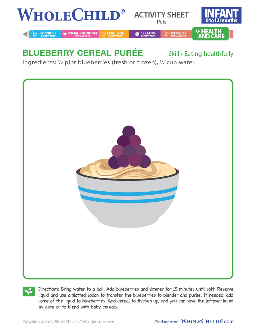 Blueberry Cereal Purée