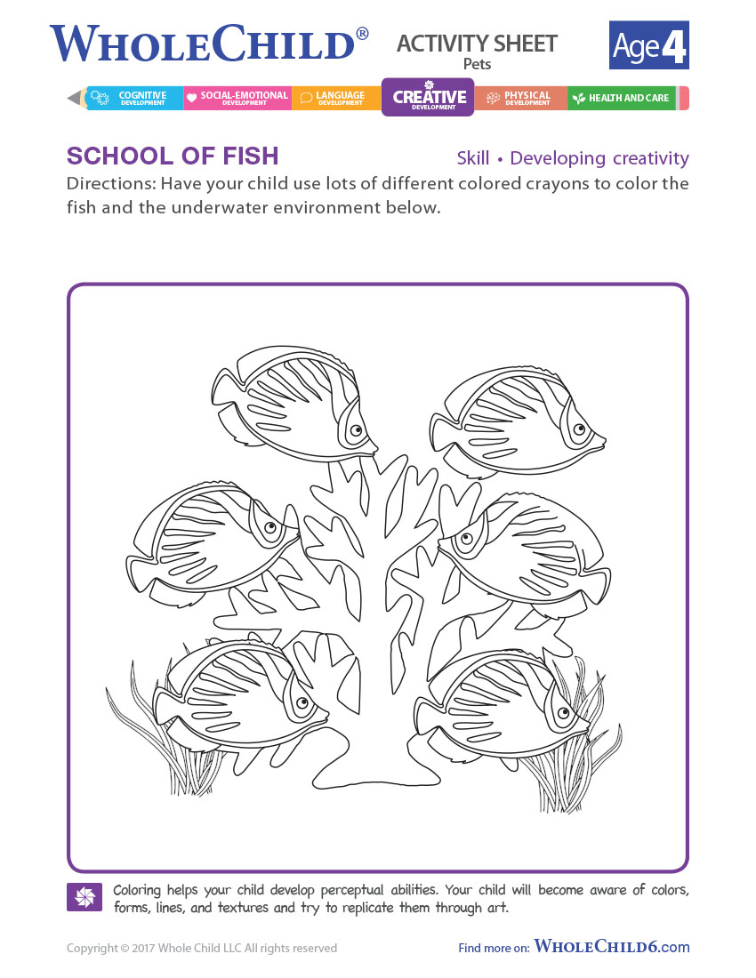 School Of Fish