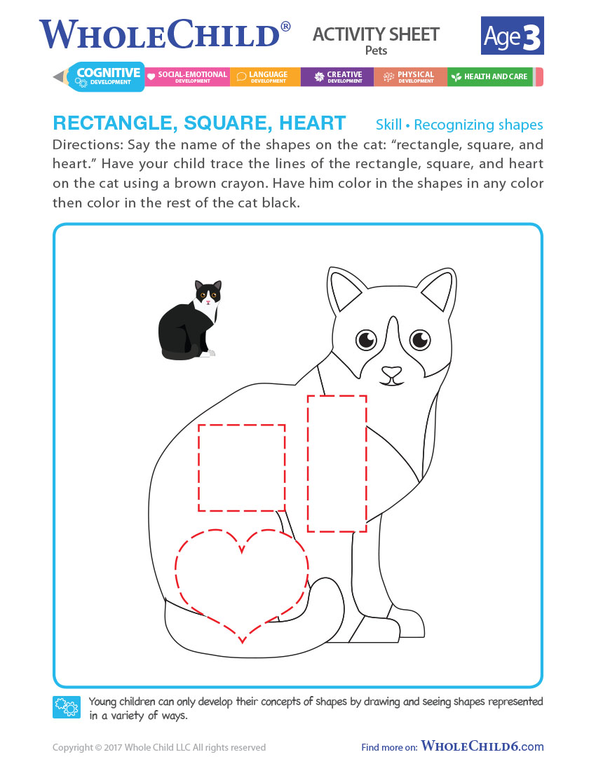 Rectangle, Square, Heart